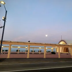 Marine Parade - Napier