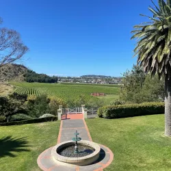 Mission Estate Winery - Napier