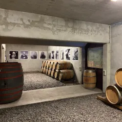 Mission Estate Winery - Napier