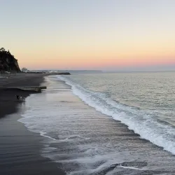 MTG Hawke’s Bay (Museum Theatre Gallery) - Napier