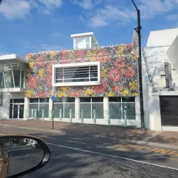 MTG Hawke’s Bay (Museum Theatre Gallery) - Napier