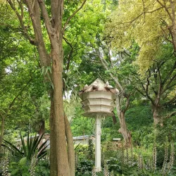 Napier Botanical Gardens - Napier