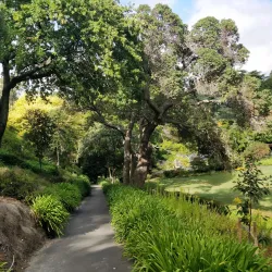 Napier Botanical Gardens - Napier