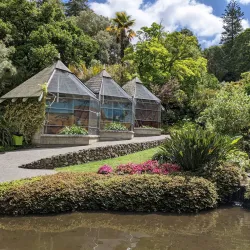 Napier Botanical Gardens - Napier