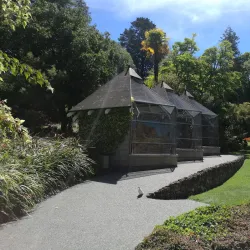 Napier Botanical Gardens - Napier