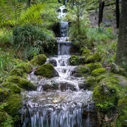 Napier Botanical Gardens - Napier