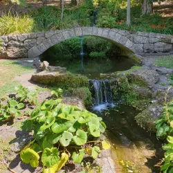 Napier Botanical Gardens - Napier