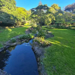 Napier Botanical Gardens - Napier