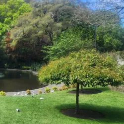 Napier Botanical Gardens - Napier