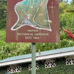 Napier Botanical Gardens - Napier