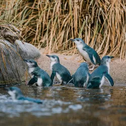 National Aquarium of New Zealand - Napier