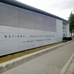 National Aquarium of New Zealand - Napier
