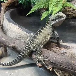 National Aquarium of New Zealand - Napier