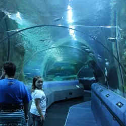 National Aquarium of New Zealand - Napier