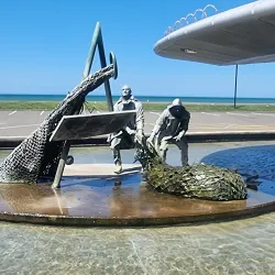 National Aquarium of New Zealand - Napier
