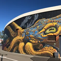 National Aquarium of New Zealand - Napier