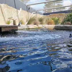 National Aquarium of New Zealand - Napier