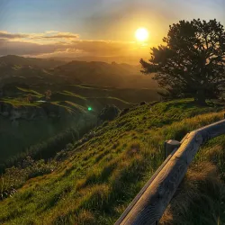 Te Mata Peak - Napier