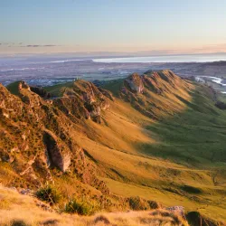 Te Mata Peak - Napier