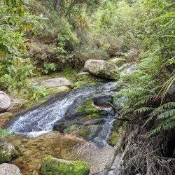 Abel Tasman National Park - Nelson