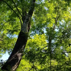 Centre of New Zealand - Nelson