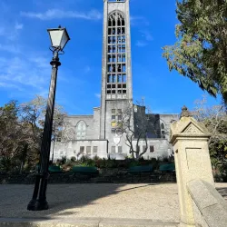 Christ Church Cathedral - Nelson
