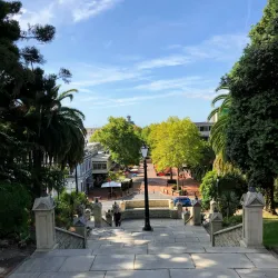 Christ Church Cathedral - Nelson