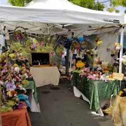 Nelson Market - Nelson