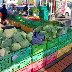 Nelson Market - Nelson