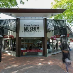 Nelson Provincial Museum - Nelson