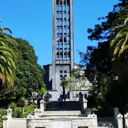 Nelson Provincial Museum - Nelson