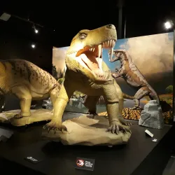 Nelson Provincial Museum - Nelson