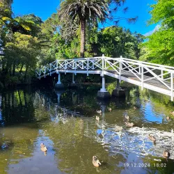 Queen's Gardens - Nelson