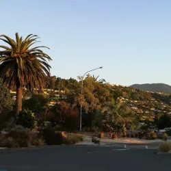 Tahunanui Beach - Nelson