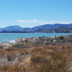 Tahunanui Beach - Nelson