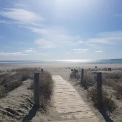 Tahunanui Beach - Nelson