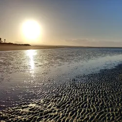 Tahunanui Beach - Nelson