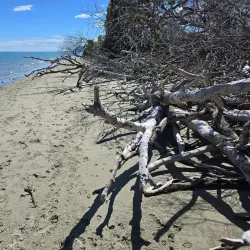 Tahunanui Beach - Nelson