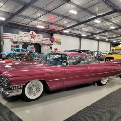 World of WearableArt & Classic Cars Museum - Nelson