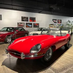 World of WearableArt & Classic Cars Museum - Nelson