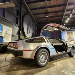 World of WearableArt & Classic Cars Museum - Nelson