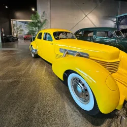 World of WearableArt & Classic Cars Museum - Nelson