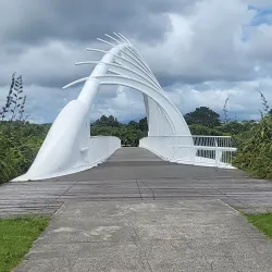 Coastal Walkway - New Plymouth