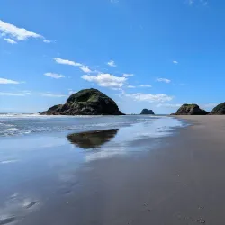 Sugar Loaf Islands Marine Protected Area - New Plymouth