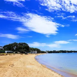 Cheltenham Beach - North Shore