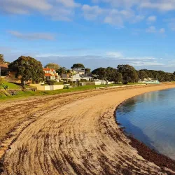 Cheltenham Beach - North Shore