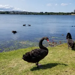 Lake Pupuke - North Shore