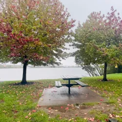 Lake Pupuke - North Shore