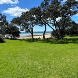 Long Bay Regional Park - North Shore