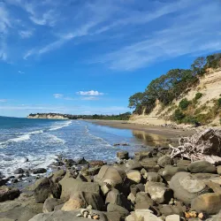 Long Bay Regional Park - North Shore